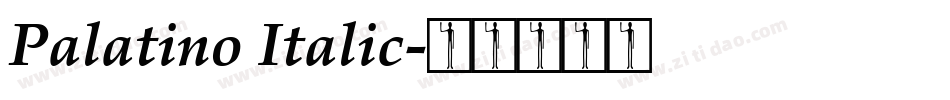 Palatino Italic字体转换